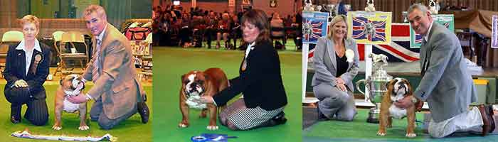 FAMOUS AM AKC CH Mystyle Warrior Ocobo Wins Trophy at Dog Show