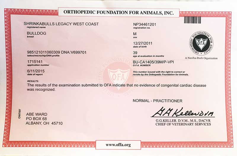 Shrinkabull's Legacy West Coast OFA Health Certificate