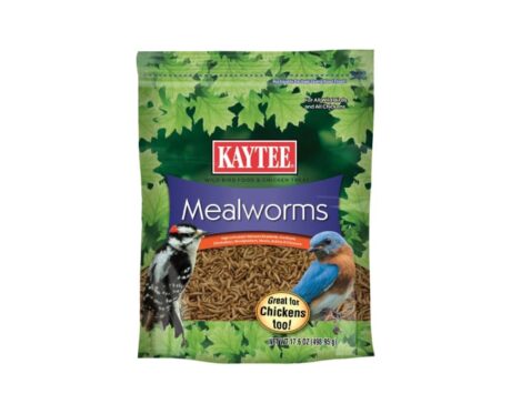 Meal Worm Wild Bird Food